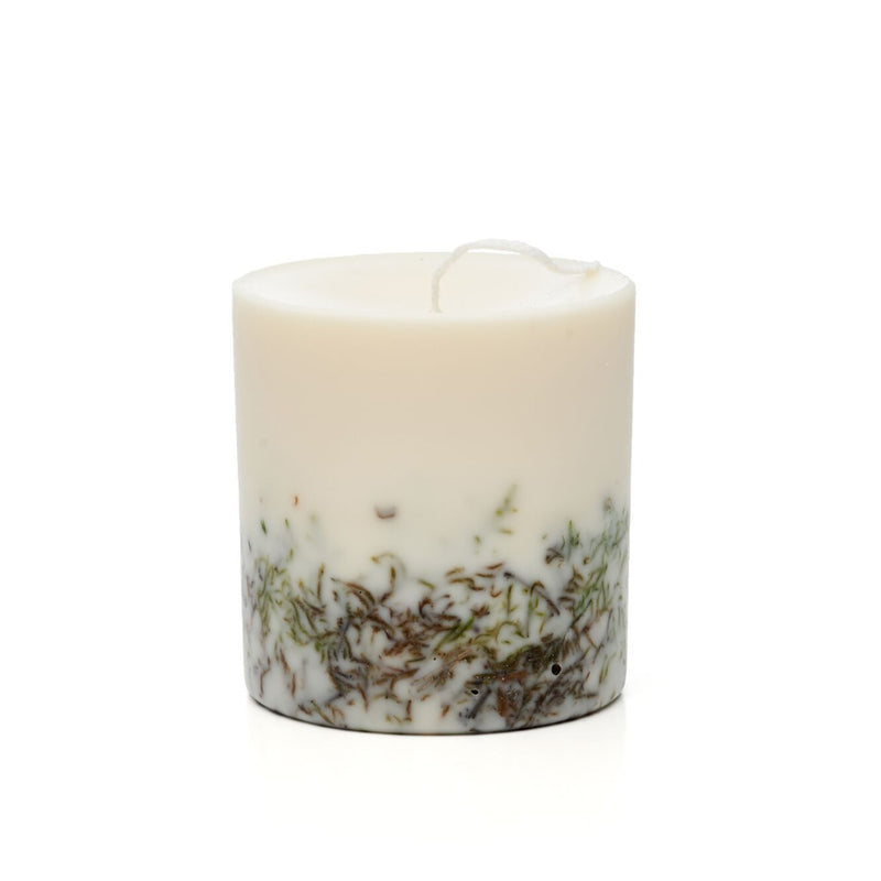 Duftkerze Naturella aus Sojawachs von the Munio mit echtem Moos