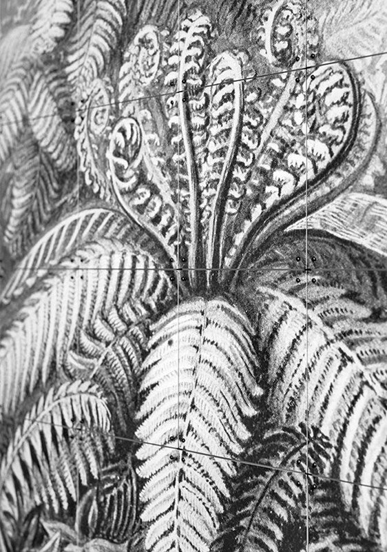 IXXI Wand-Bild "Ferns" - Format 80 x 100 cm