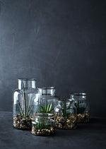 Hohe Glas-Vase von Madam Stoltz